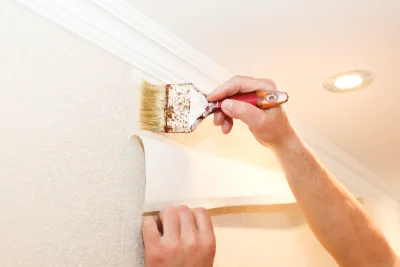 Pose de papier peint à Montanay — revêtements muraux et toiles de verre